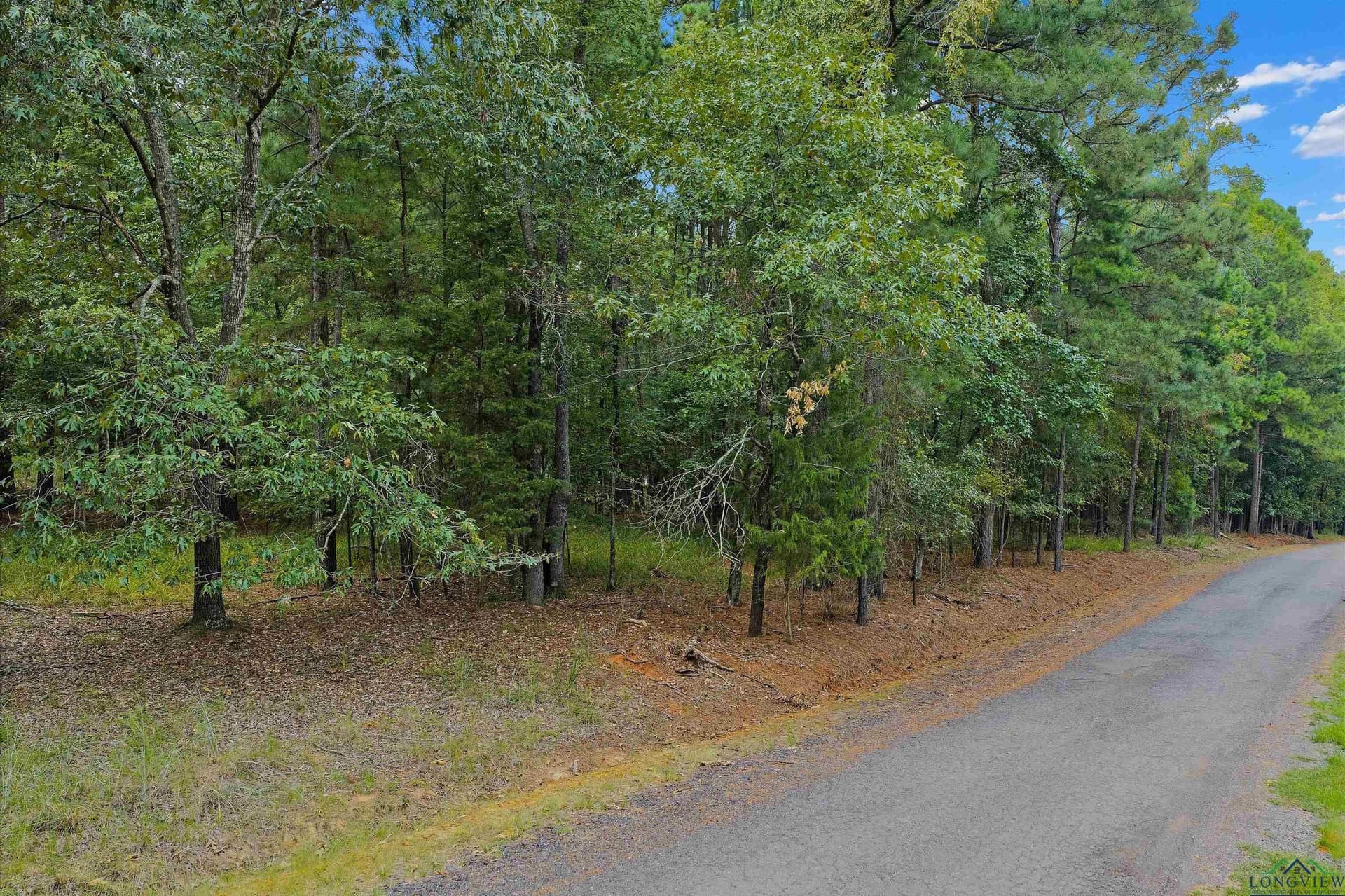 1.26 acres in Texas County - photo 7