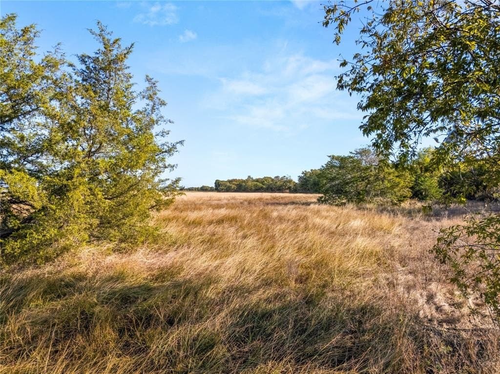 23 acres in McLennan County - photo 27