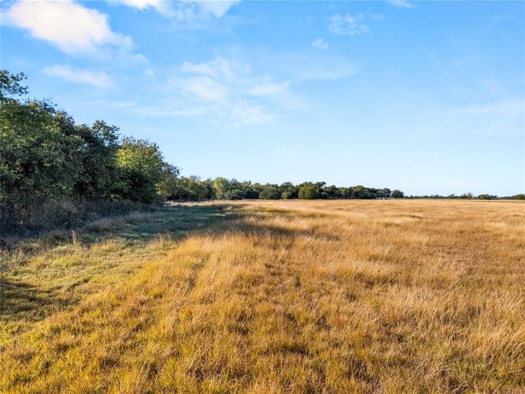 23 acres in McLennan County - photo 4