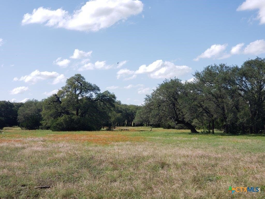 2,819.4 acres in Lampasas County - photo 10