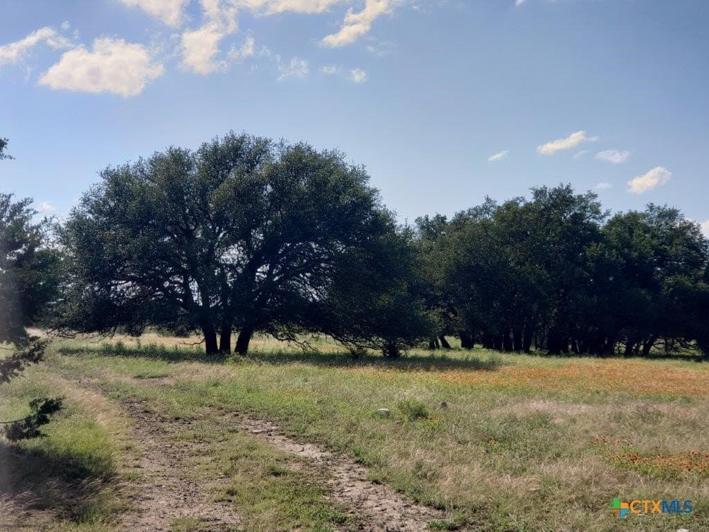 2,819.4 acres in Lampasas County - photo 11
