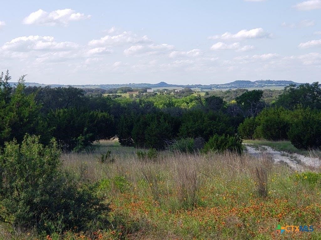 2,819.4 acres in Lampasas County - photo 5