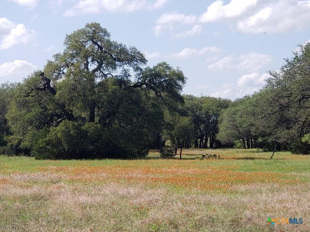 2,819.4 acres in Lampasas County - photo 9