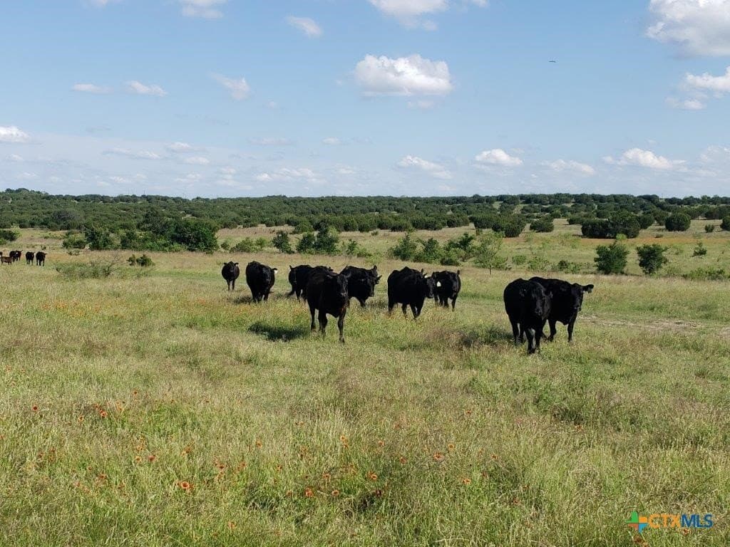 2,819.4 acres in Lampasas County - photo 13