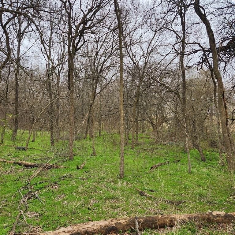 3.2 acres in Grayson County - photo 5
