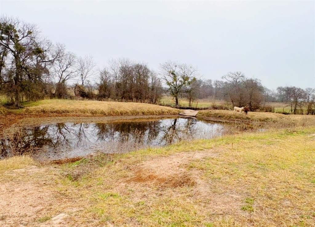 12.37 acres in Falls County - photo 7