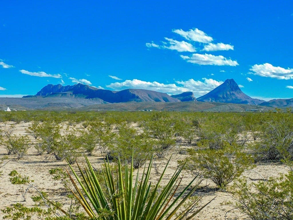 5 acres in Brewster County - photo 3