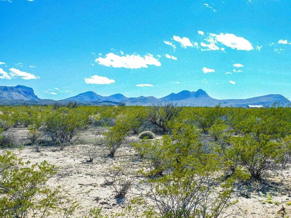 5 acres in Brewster County - photo 4