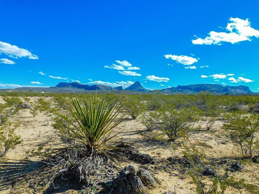 5 acres in Brewster County - photo 8