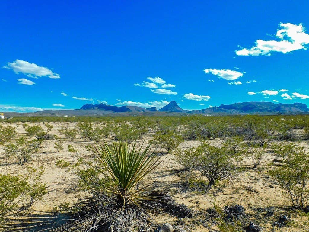 5 acres in Brewster County - photo 9