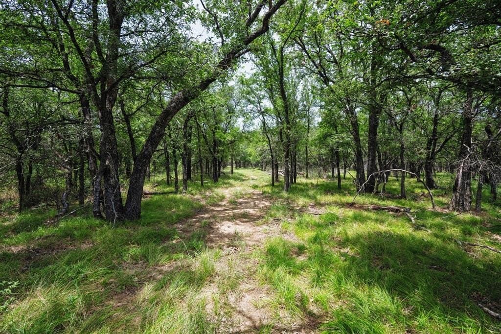 26.02 acres in Palo Pinto County - photo 2