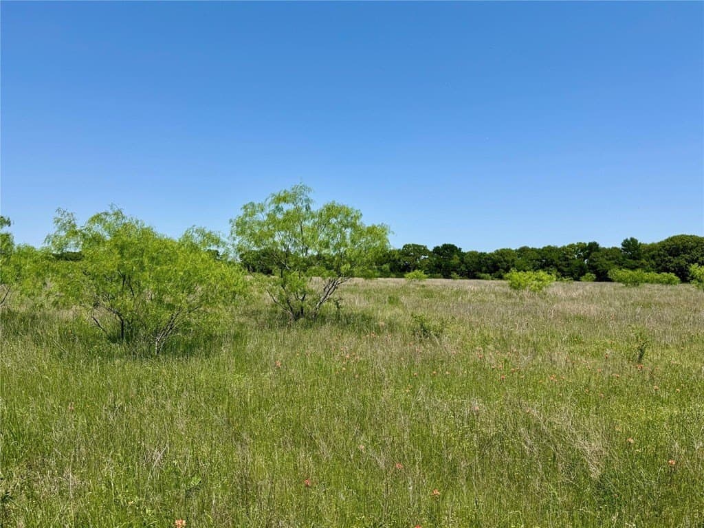 2.82 acres in McLellan County - photo 4