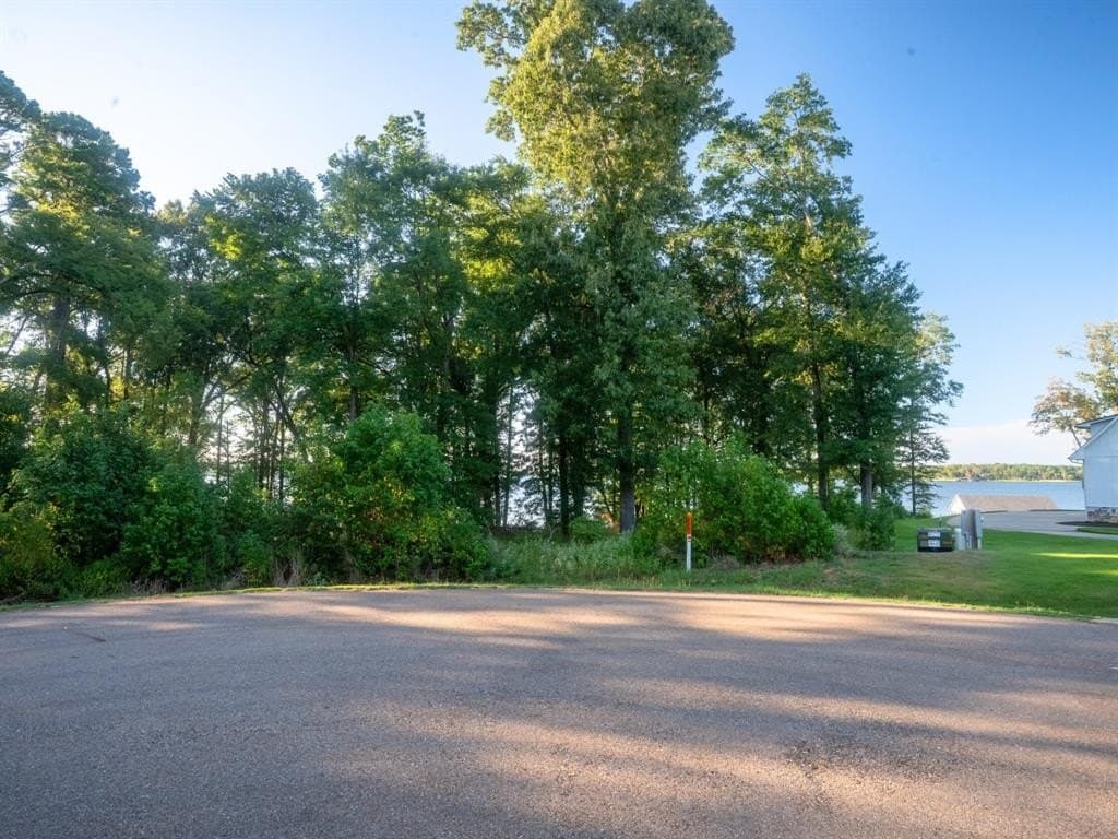 1.16 acres in Camp County - photo 13