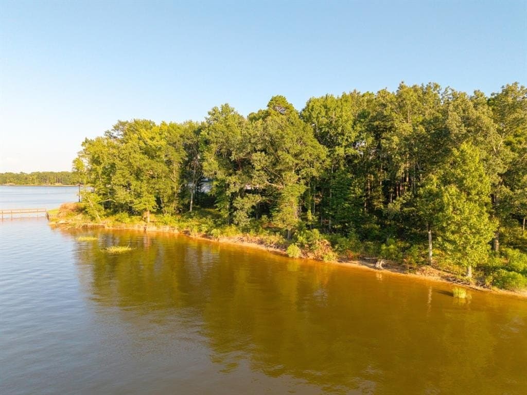 1.16 acres in Camp County - photo 11