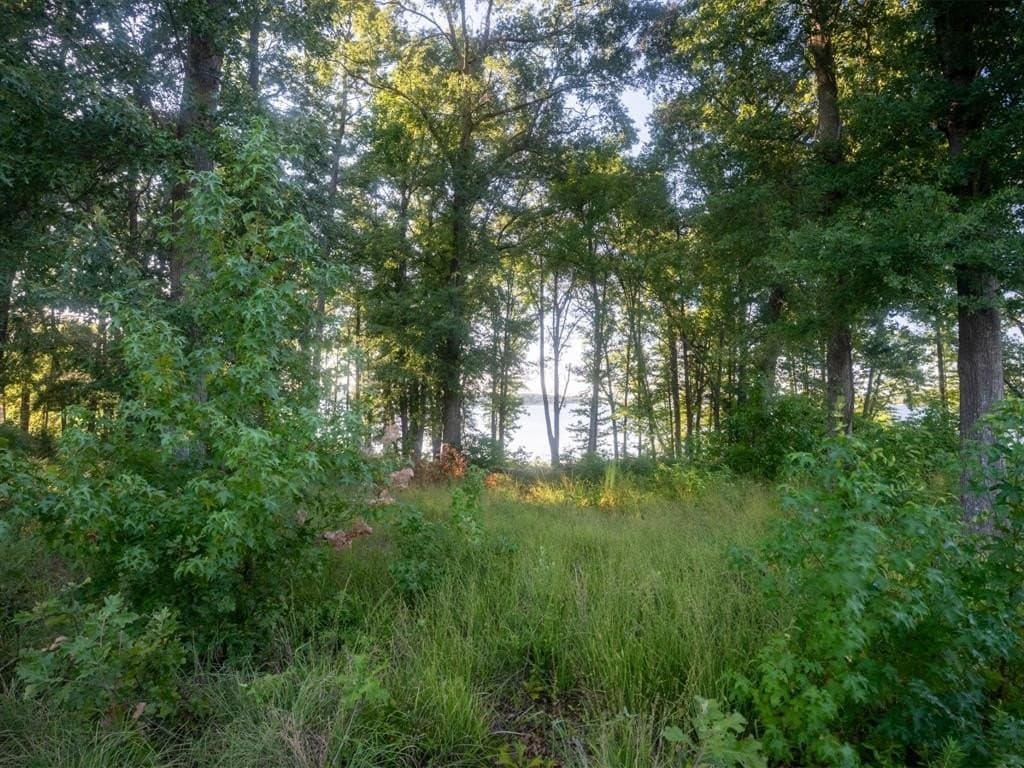 1.16 acres in Camp County - photo 15