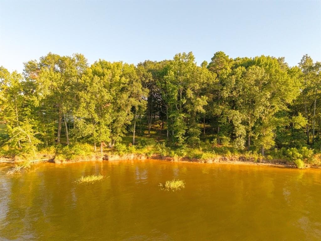 1.16 acres in Camp County - photo 12