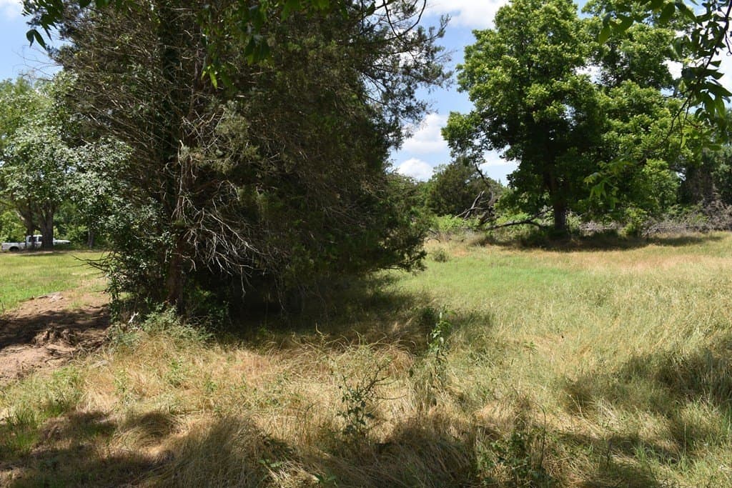 149.29 acres in ANDERSON County - photo 37