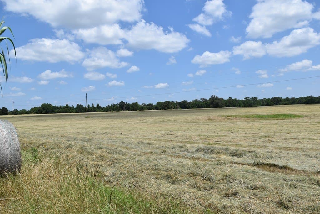 149.29 acres in ANDERSON County - photo 31
