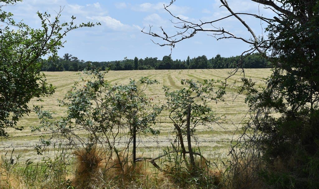 149.29 acres in ANDERSON County - photo 41