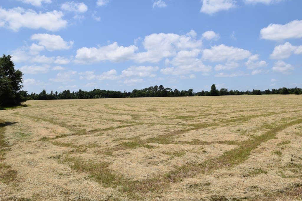 149.29 acres in ANDERSON County - photo 19