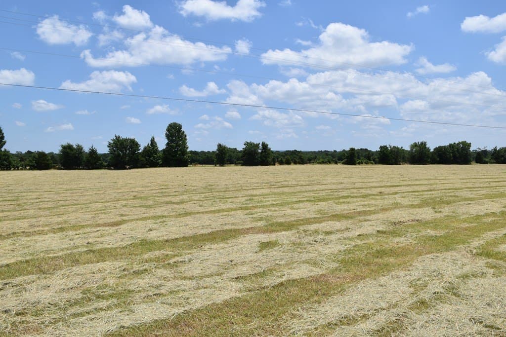 149.29 acres in ANDERSON County - photo 28