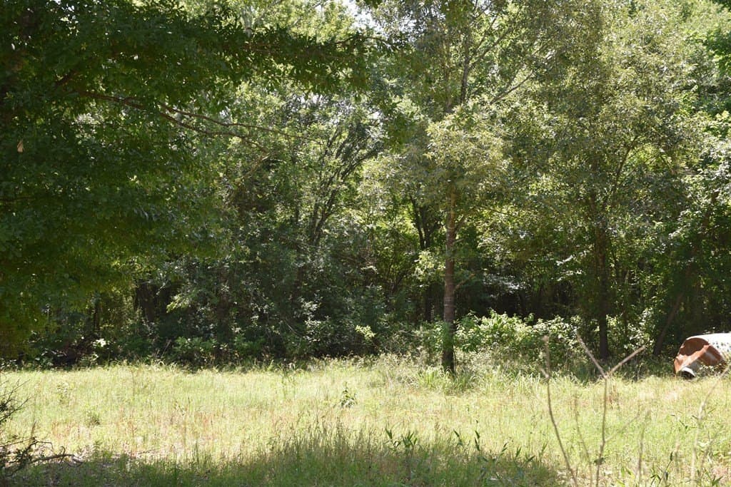 149.29 acres in ANDERSON County - photo 13