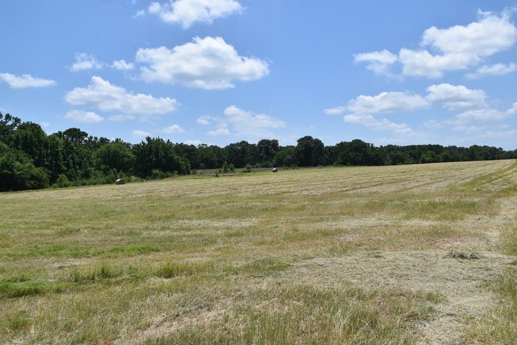 149.29 acres in ANDERSON County - photo 7