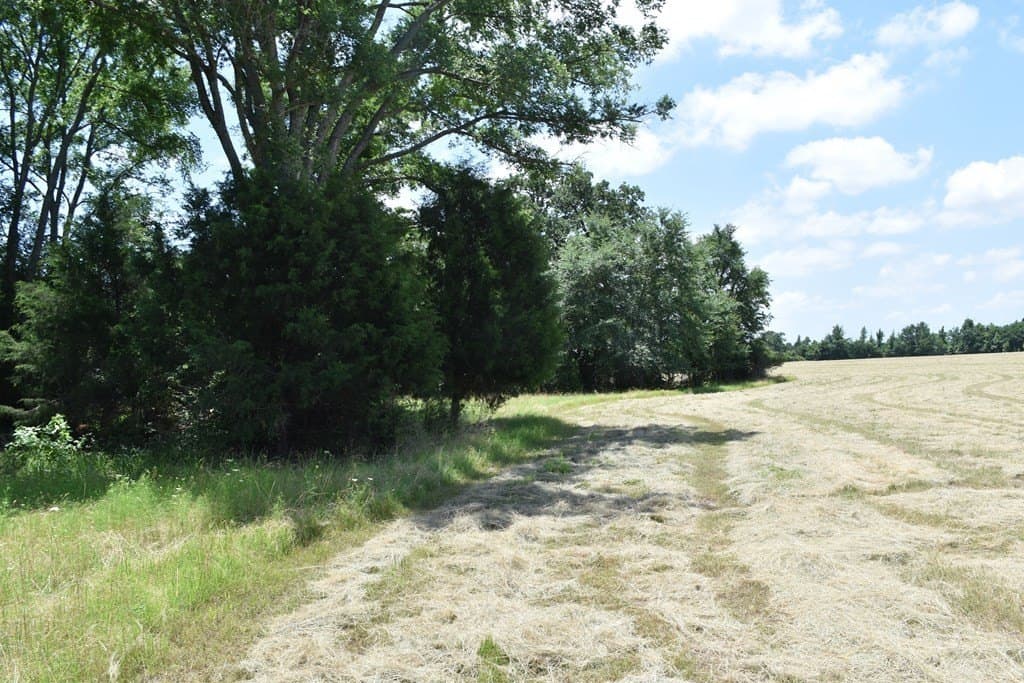 149.29 acres in ANDERSON County - photo 18