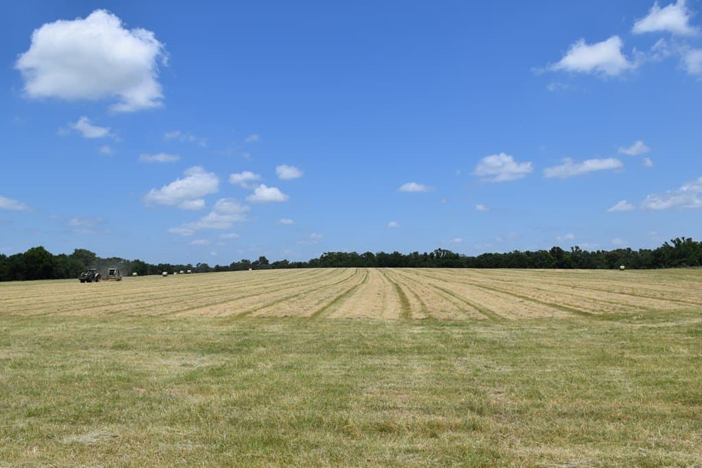 149.29 acres in ANDERSON County - photo 9