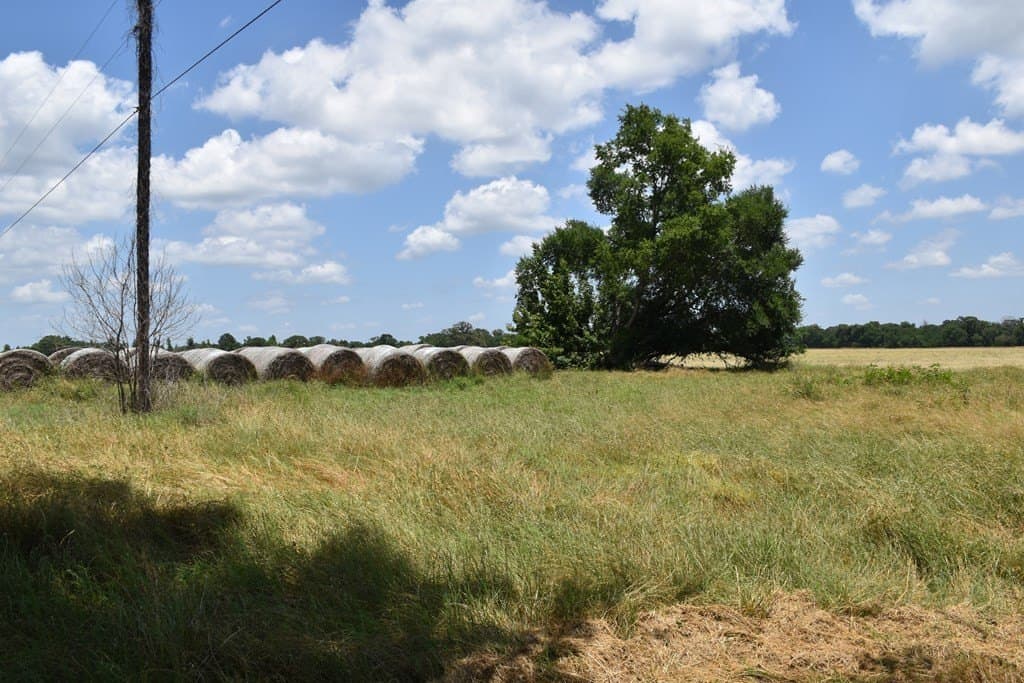 149.29 acres in ANDERSON County - photo 39