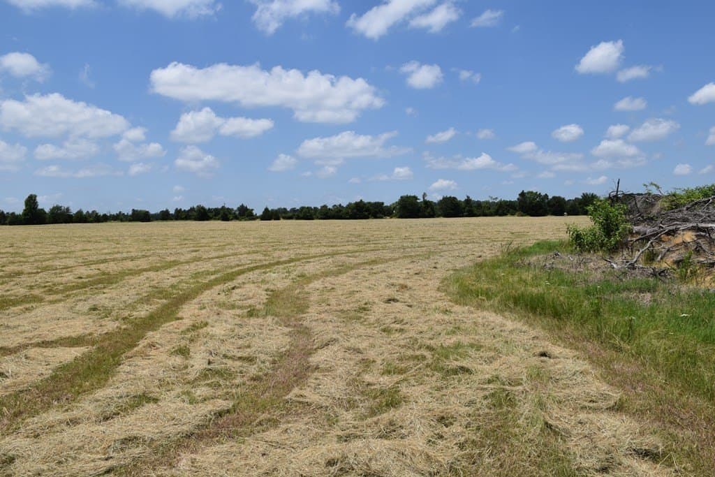 149.29 acres in ANDERSON County - photo 20