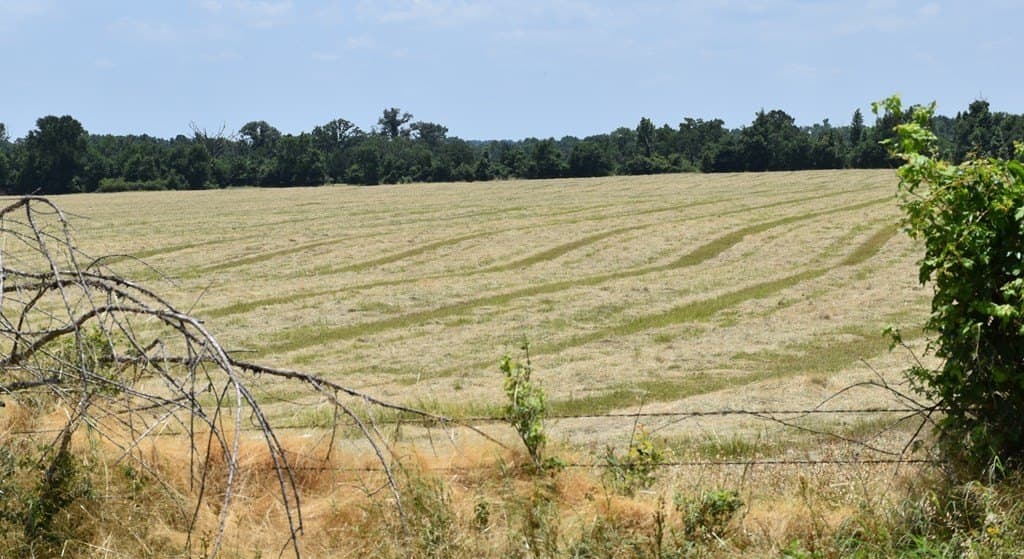 149.29 acres in ANDERSON County - photo 40
