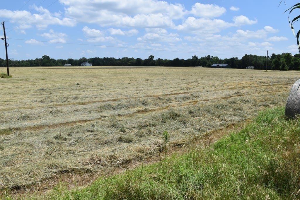 149.29 acres in ANDERSON County - photo 32