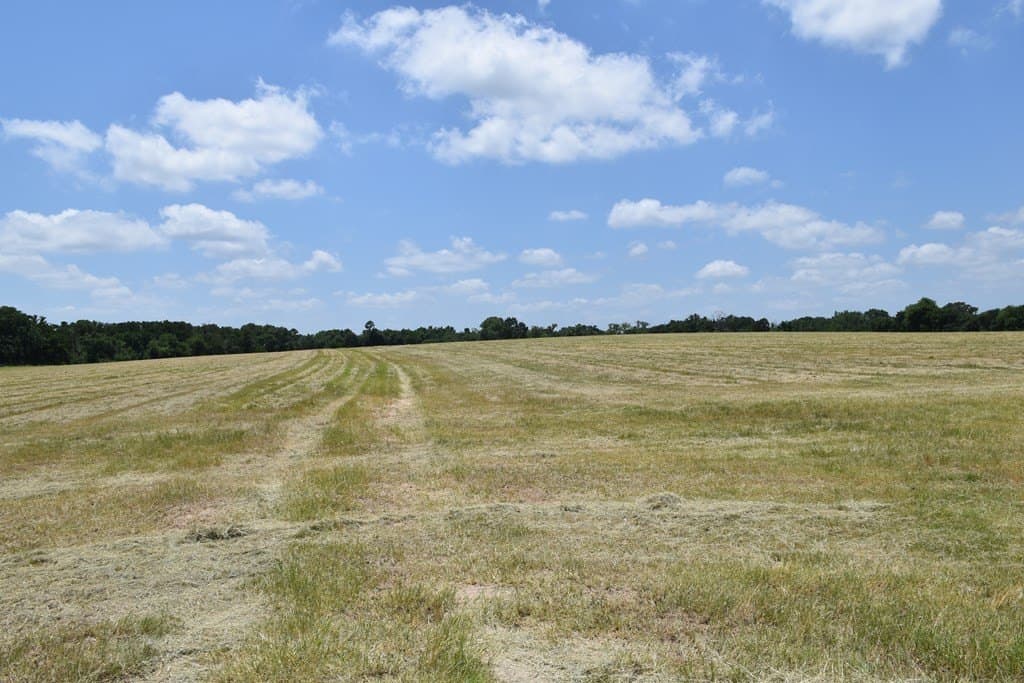 149.29 acres in ANDERSON County - photo 6