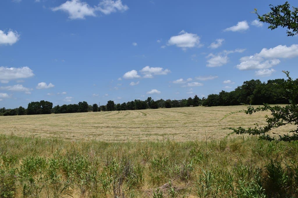 149.29 acres in ANDERSON County - photo 23