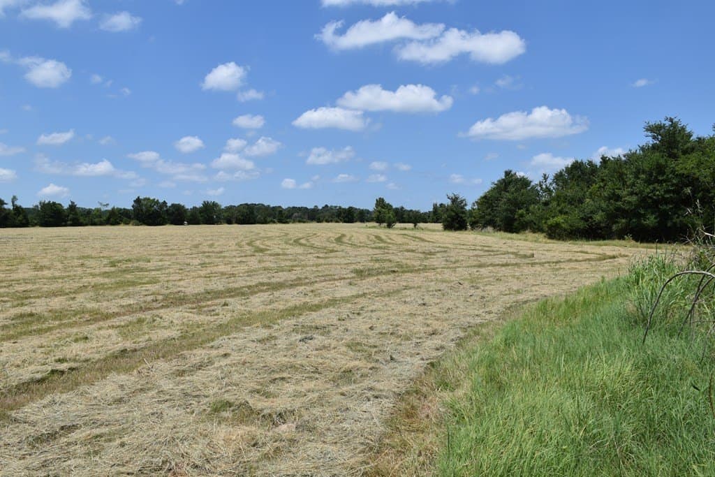 149.29 acres in ANDERSON County - photo 21