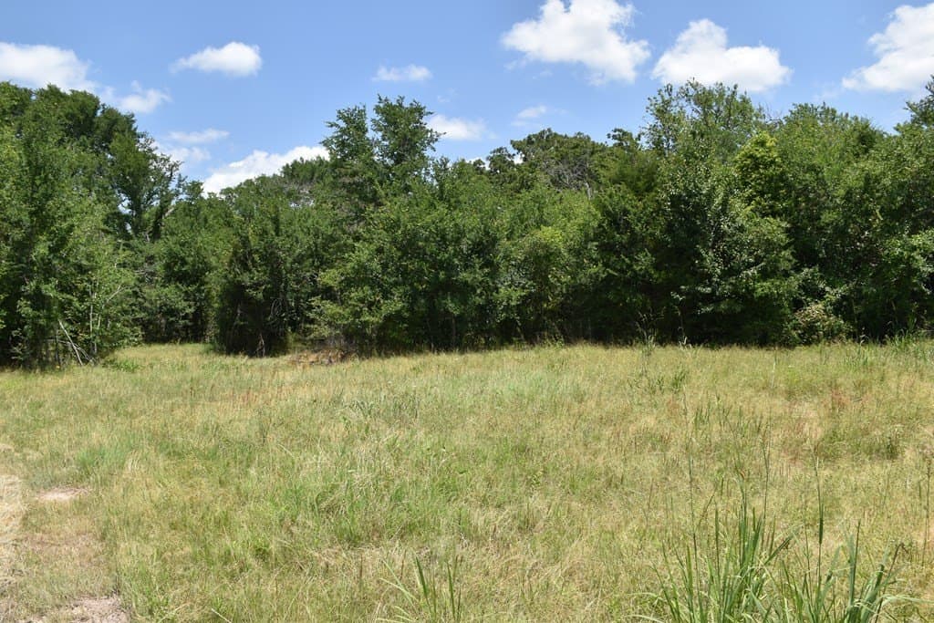 149.29 acres in ANDERSON County - photo 22