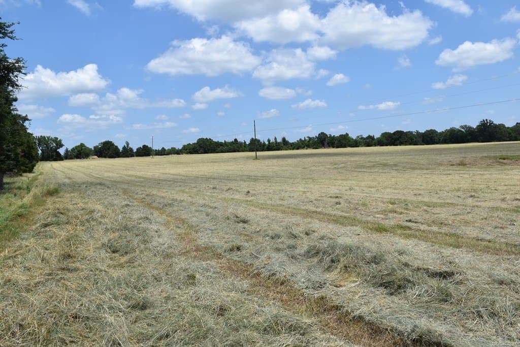 149.29 acres in ANDERSON County - photo 33