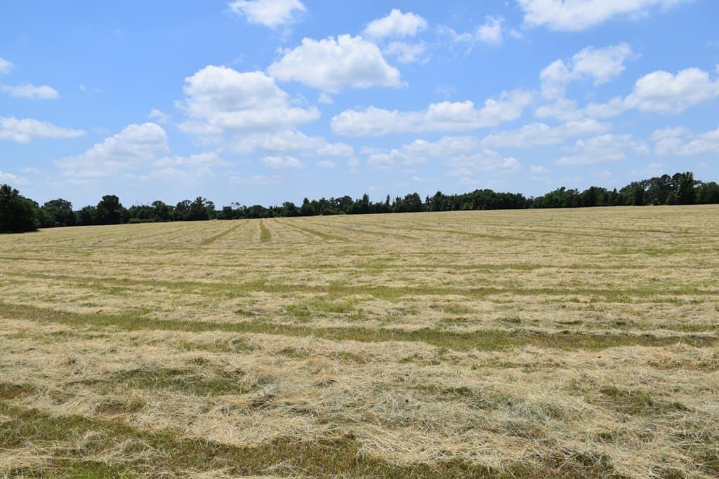 149.29 acres in ANDERSON County - photo 24