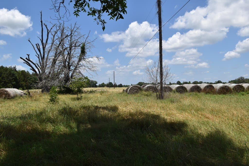 149.29 acres in ANDERSON County - photo 38