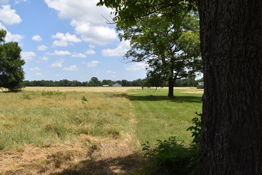 149.29 acres in ANDERSON County - photo 36