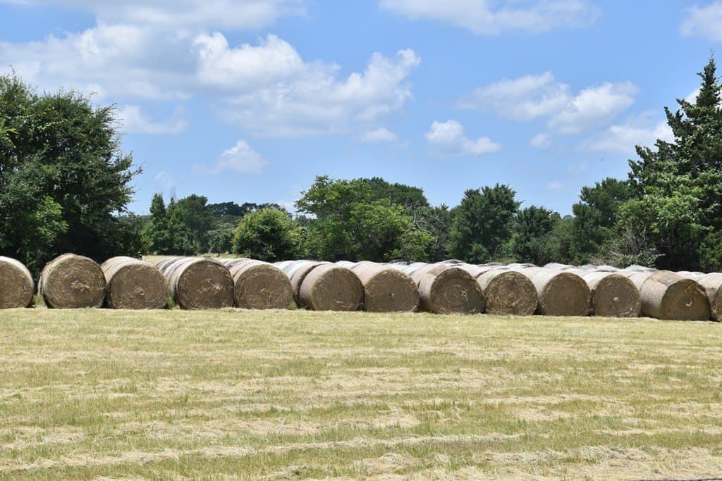 149.29 acres in ANDERSON County - photo 26