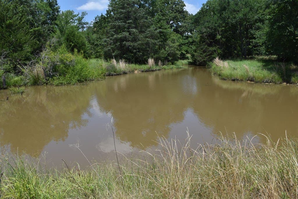 149.29 acres in ANDERSON County - photo 16