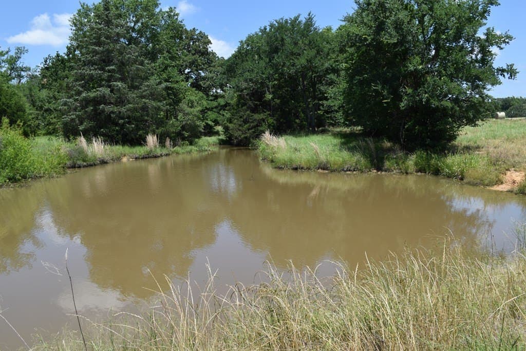 149.29 acres in ANDERSON County - photo 17