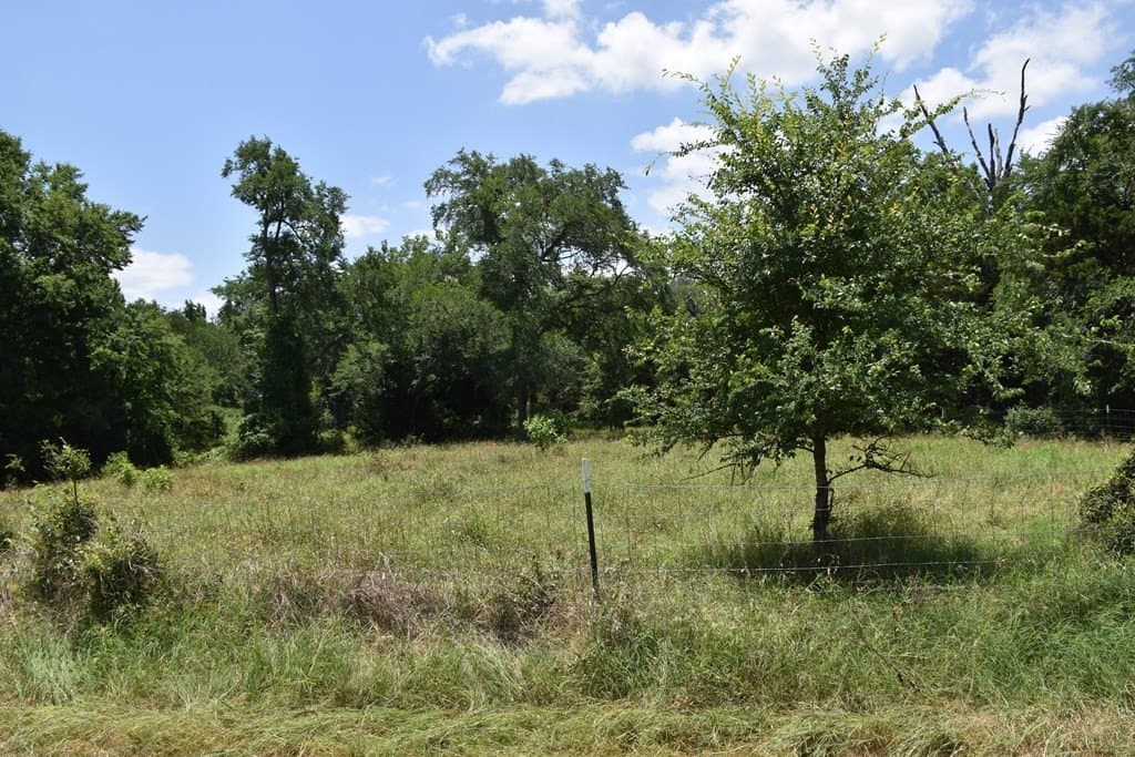 149.29 acres in ANDERSON County - photo 15