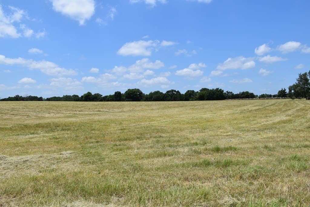 149.29 acres in ANDERSON County - photo 5
