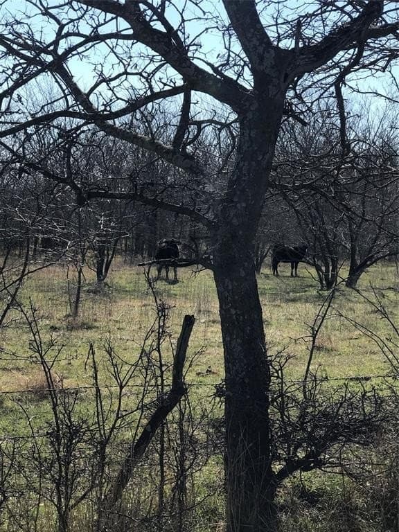 3.18 acres in Grayson County - photo 2