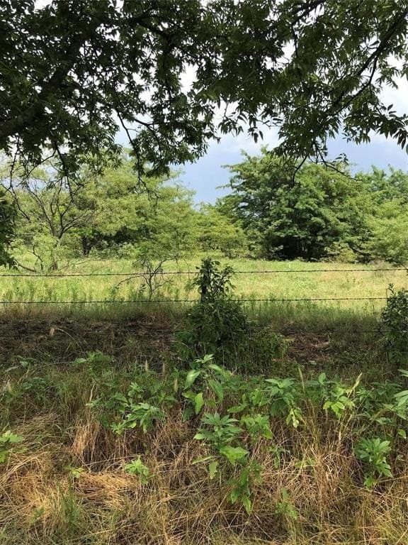 3.18 acres in Grayson County - photo 5