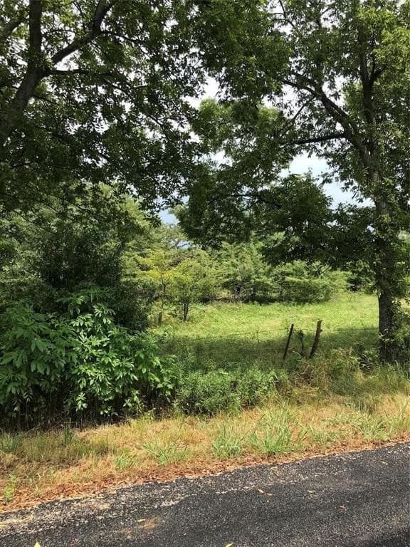 3.18 acres in Grayson County - photo 4