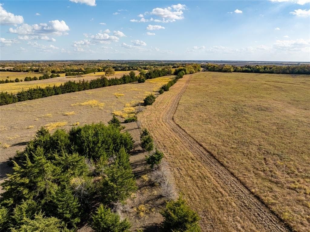 150.9 acres in Lamar County - photo 8